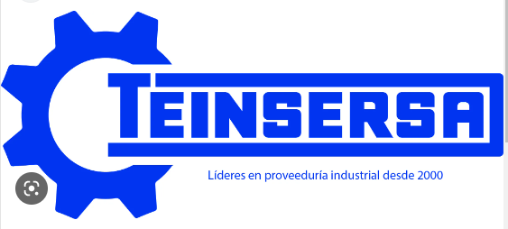 logo teinsersa